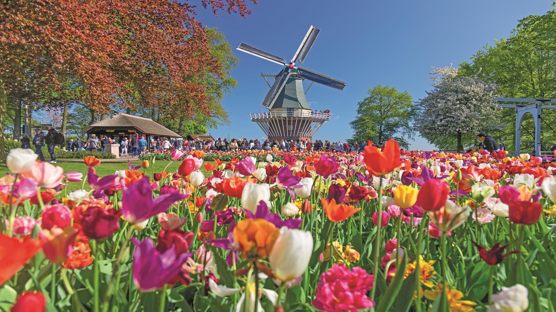 keukenhof gardens